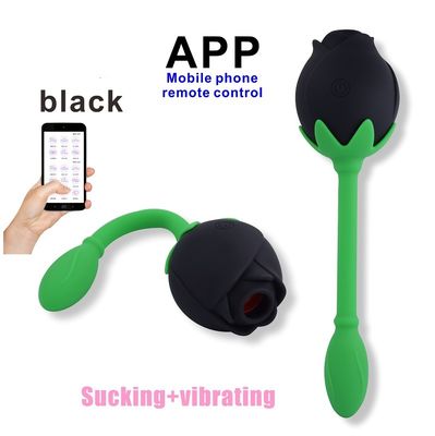 Dispositivo que chupa del clítoris del estímulo del punto de IPX6 Rose Clitoral Sucker Vibrator Sex Toy Vagina G