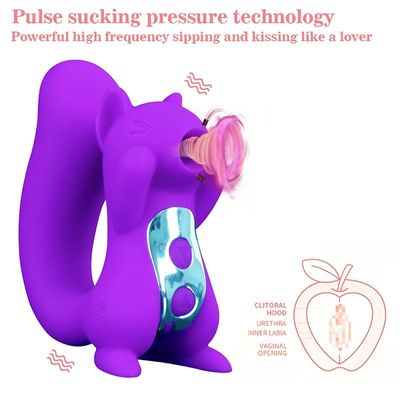 El sexo Toy Squirrel Sucker ROHS del vibrador de Clit de la entrerrosca de 10 frecuencias aprobó