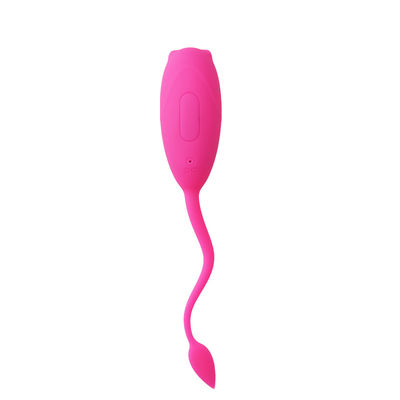 10 velocidades que vibran el sexo para mujer juegan el huevo de salto teledirigido IPX7