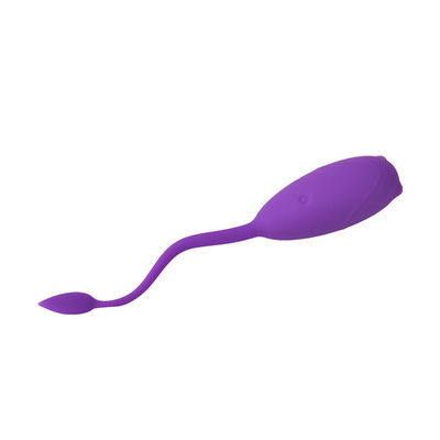 10 velocidades que vibran el sexo para mujer juegan el huevo de salto teledirigido IPX7